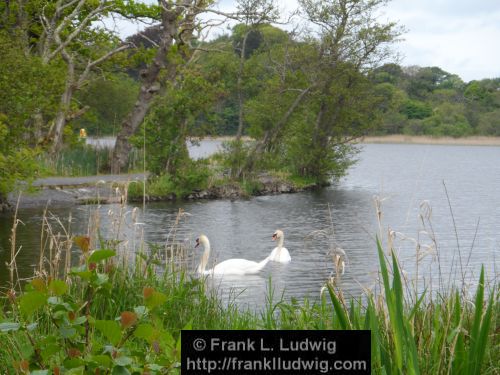 Lough Gill